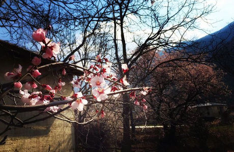 ʮ���һ��㡤�����������