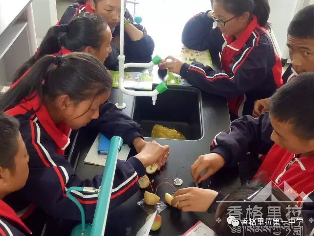 ����ʾ��ѧУ������һ�п�չ������Ƽ��